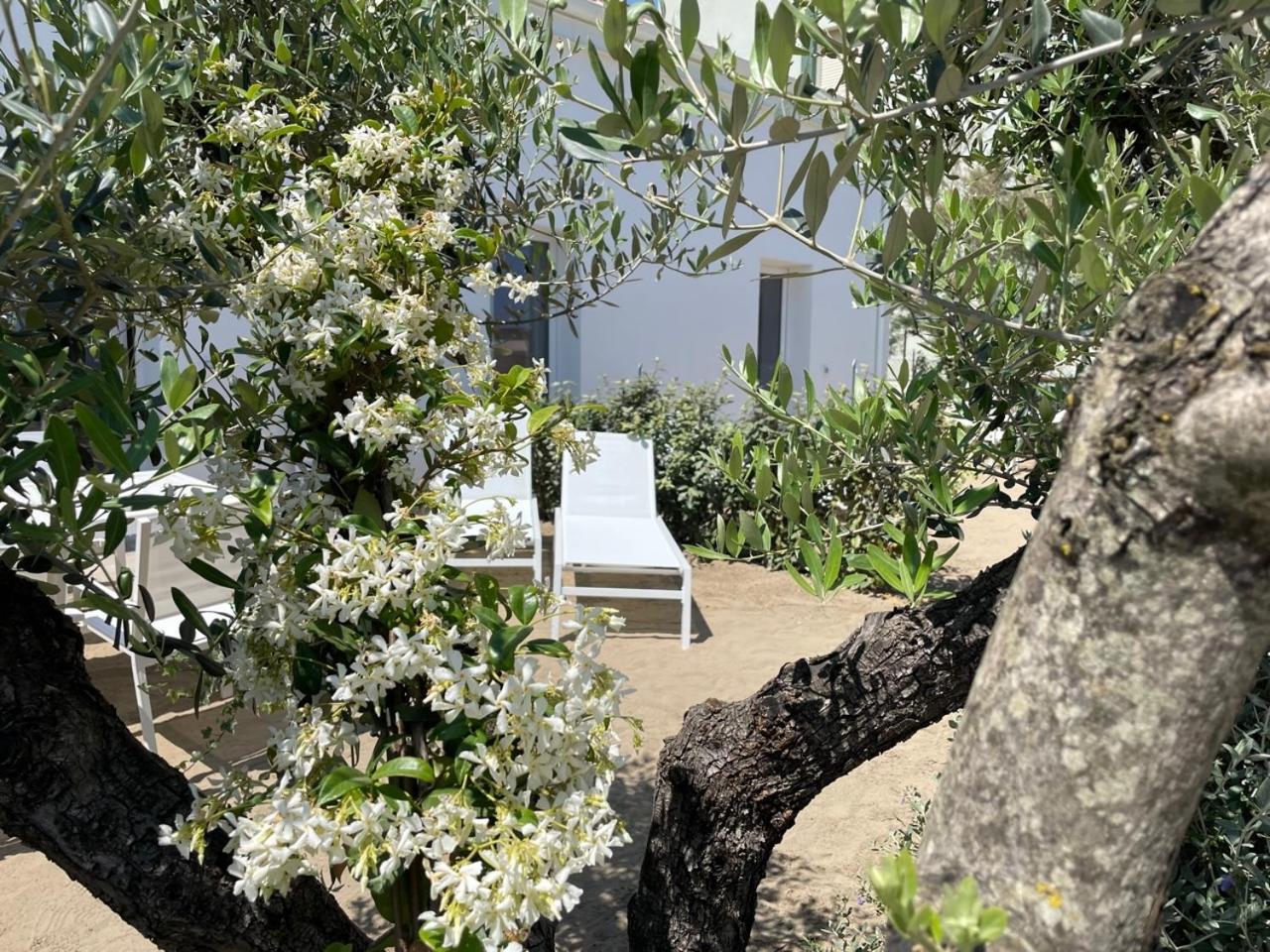 Villa Le Agavi Luxory Beach Surfhouse เบลลาเรีย-อีเจอา มารีนา ภายนอก รูปภาพ